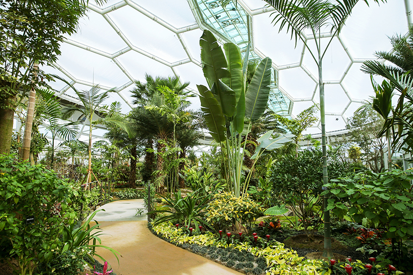 부천호수식물원 수피아는 온실 형태로 추운 겨울에도 따뜻하게 사계절 푸른 식물을 감상할 수 있다.   / 부천시 제공